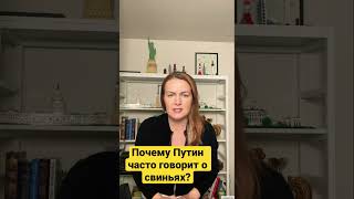 Почему Путин так любит выражения о свиньях? #турковыйсловарь