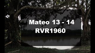 Mateo 13 - 14