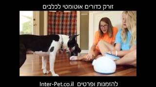 iFetch / תותח אוטומטי של כדורים לכלבים - משחק משותף או לבד