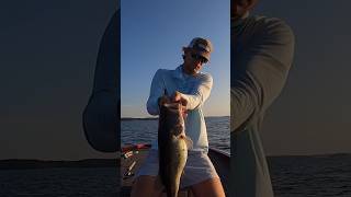 HUGE Largemouth On TOPWATER! #bassfishing #fishing #bass #largemouthbassfishing #shortsfeed #shorts