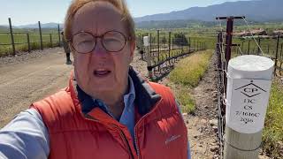 Bill Boerum in Santa Inez Wine Country: Crown Point Vineyard