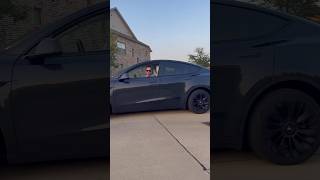 Perfect Tesla Loop?  #tesla #loop #viralvideo #shorts #kissoflife #teslalife