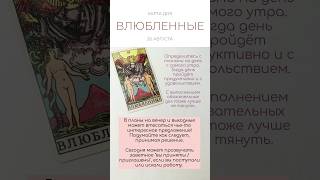 🍎 КАРТА ДНЯ 20 АВГУСТА #картытаро #таро #tarot #tarotube #shorts