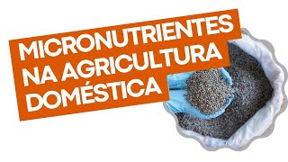 Micronutrientes na agricultura doméstica