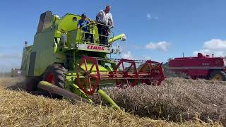 Class Mercator and Massey Ferguson Vintage combines working