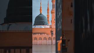 best Islamic status #viral #beautiful #palestinian #trending #shorts#wo mera nabi hai naat