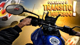 CORTANDO O TRÂNSITO DE SP DE TIGER 800 !