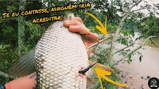 PESCA COM ESTILINGUE, a cada pescaria uma nova surpresa! #guiadomato