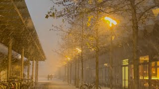 Snowy, Quiet Night Street | Sounds of Falling Snow