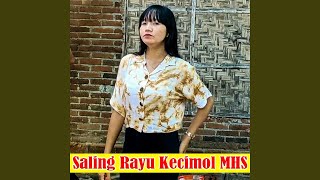 Saling Rayu Kecimol MHS (Preview)