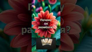 Почему он развёлся? #отношения #причина #психология #расклад