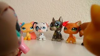 Littlest Pet Shop: Droids (Episode 7, Part 1) "All Signs Point To You"