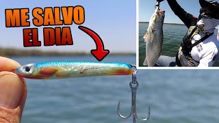 ESTE SEÑUELO ME SALVO EL DIA | Lofish Lures