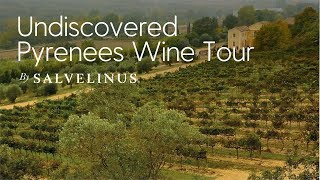 Undiscovered Pyrenees Wine Tour