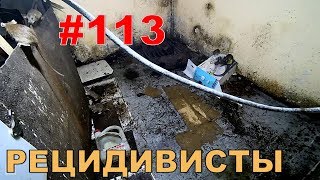 #113. Реалити Шоу “ALCARATZ“. ДОМ 2 - Крысы. Рецедивисты