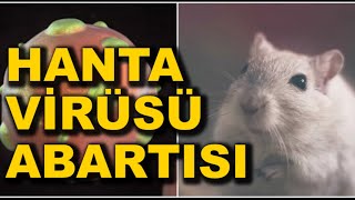 Hanta Virüsü Bilinmeyen Gerçekleri | Hanta Virüsü Korkutmacası