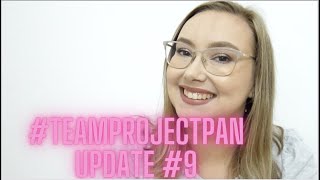 #teamprojectpan Update #9