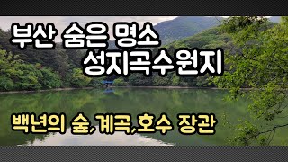 부산 여행 숨은 명소 옛 성지곡 수원지 '부산 어린이대공원'. 호수와 숲, 계곡이 어우러진 힐링 걷기명소.