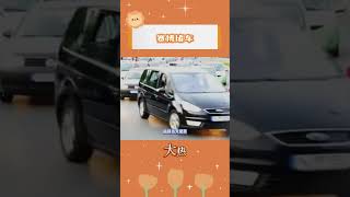 堵車的源頭居然是手機？#堵車 #手機 #離譜 #一起看