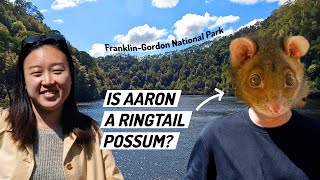 Exploring the Franklin Gordon Wild Rivers National Park with World Heritage Cruises