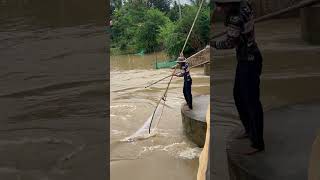 Real Life 100% Net Fishing In River At The Countryside EP #20