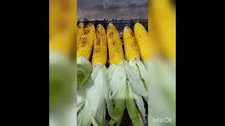 Jagung Bakar || 01-01-202