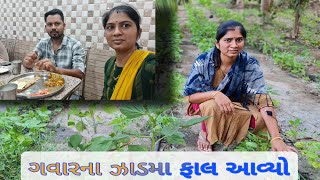 અમે એકલા એકલા હોટલ મા જમવા ગયા || ગવાર ના ઝાડ🌱 મા ફાલ આવ્યો || #familyvlog #villagelife #vlogger