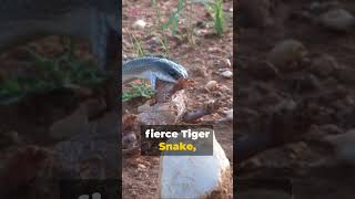 Slithering Danger: Top 10 Most Dangerous Snakes #dangerous #world #snake