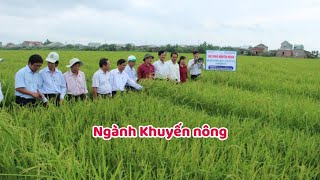 Ngành Khuyến nông là gì? Học gì? Ra trường làm gì?