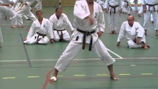 Yamaguchi-sensei demonstrates kata Ji'in