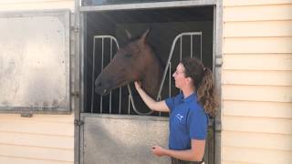 Epsom Trainers Open Day 2019