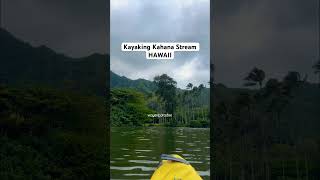 Kayaking Kahana Stream HAWAII #shorts #oahu #river #kayak #calming #relaxing