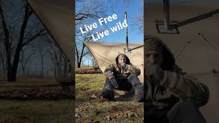 Live Free Live Wild #shorts