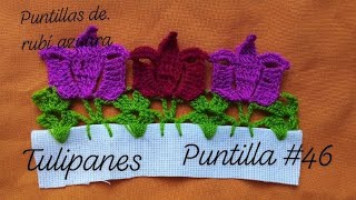 puntilla # 46 tulipanes