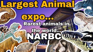 THE LARGEST EXOTIC PET EXPO!! (Tinley Park NARBC 2024) Pt. 1