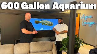 Man Builds DIY 600 Gallon Plywood Aquarium In His Basement  *Tour*