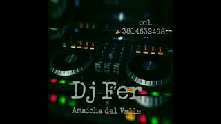 MiniMix -_-Reggaeton_Dj_Fer_ Amaicha Del Valle