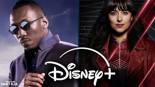 Is "Blade" Delayed Again + "Madame Web" Finds Success On Streaming | Disney Plus News