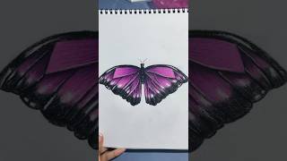 Color pencil butterfly!