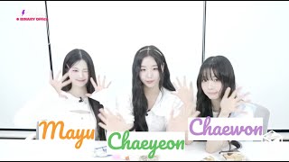 [ENG SUB] tripleS Weibo SIGNAL LIVE 240905 (Chaeyeon, Mayu, Chaewon) 트리플에스 Image Quiz Game