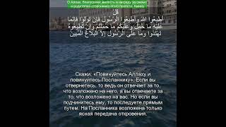 Коран Сура Ан Нур | 24:54 | Чтение Корана с русским переводом | Quran Translation #quranrecitation