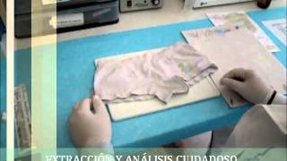 VIDEO PRACTICA 1.wmv