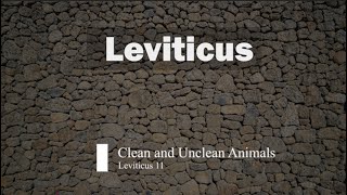 Clean and Unclean Animals (Leviticus 11)