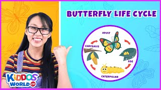 Learn The Life Cycle of The Butterfly | Butterfly Stages | Educational Videos From Kiddos World TV