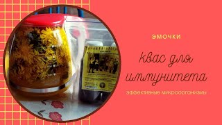 289. КВАС с ЭМочками - эффективными микроорганизмами