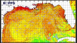 Gulf of Mexico Ocean Conditions Update - 07/03/2024