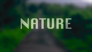 Nature | Cinematic Short film | Rainy Nature B roll | Canon 200D