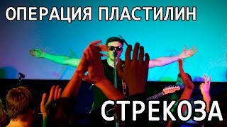 Операция пластилин - Стрекоза (Липецк 16.12.2016)