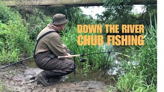 Back Down The River Chub Fishing on a Wild Upper Medway section #chubfishing #fishing