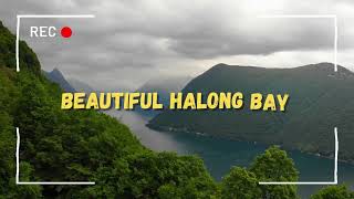 UNESCO World Heritage Site | Cruise through the Halong Bay | A Stunning Natural Wonder